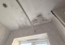 Damp and mould issues were found at the property