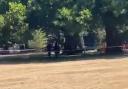 Police at the scene of a fatal stabbing in Hackney Downs Park