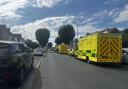 Ambulances lined up on the street