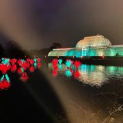 The light display in front of the Temperate House