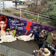 South-west London marks rewilding milestone and Bowie anniversary