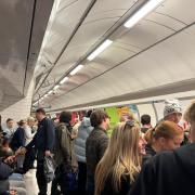 A casualty on the track has halted services on the Victoria Line this morning