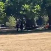 Police at the scene of a fatal stabbing in Hackney Downs Park