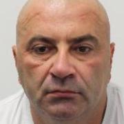Dedic was erroneously released from prison in February